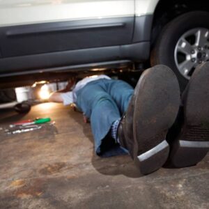 Cubiertas de asientos de coche biodegradables de Utopia Auto body